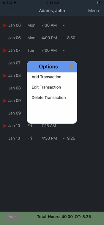 Inserting a transaction for an individual employee.